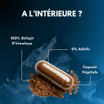 Shilajit Capsule - Image 4