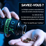 Shilajit Capsule - Image 8