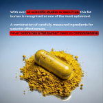 Fat burner - Image 6