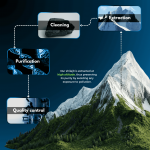 Shilajit Capsule - Image 5