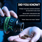 Shilajit Capsule - Image 8