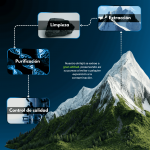 Cápsula de Shilajit - Image 4