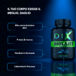 Capsule di Shilajit - Image 3