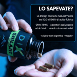 Capsule di Shilajit - Image 8