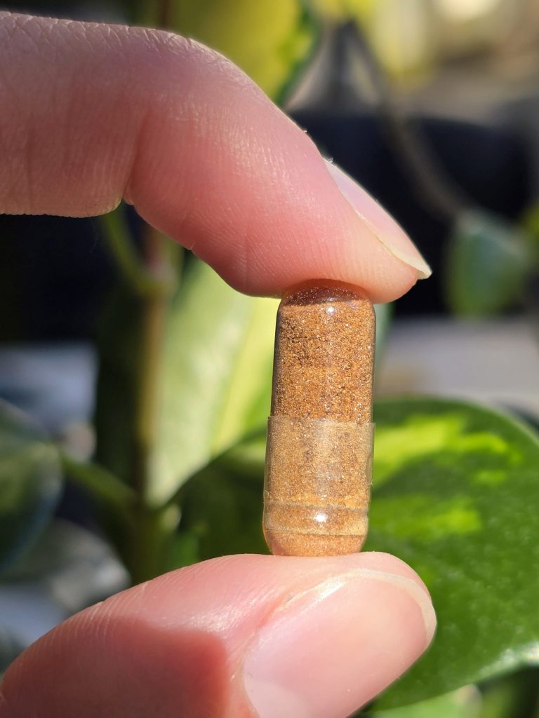 shilajit himalaya capsule