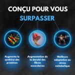 Ecdisterona - Image 4