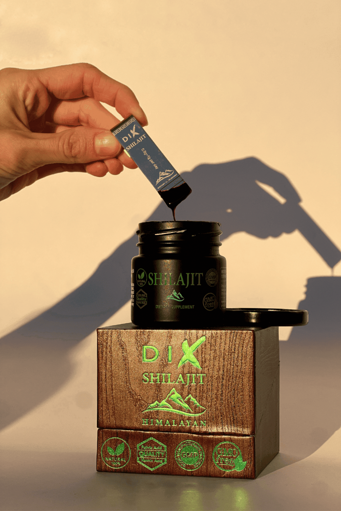 shilajit resin himalaya 2