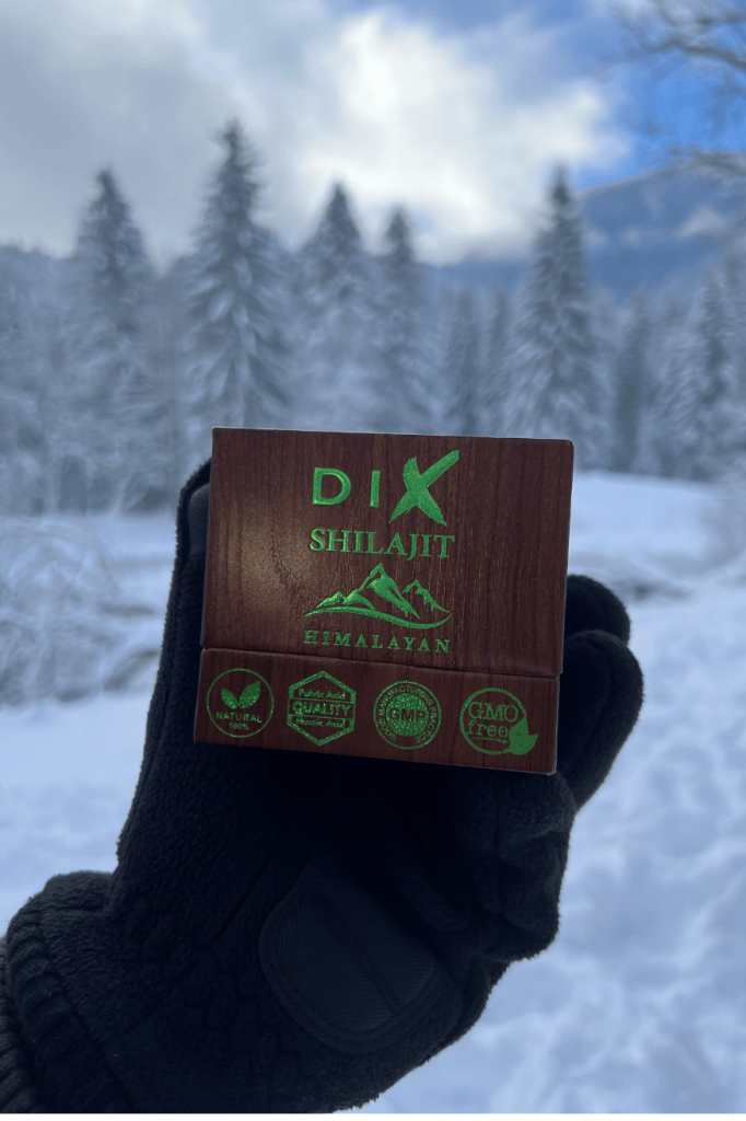 shilajit resin himalaya
