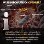 NAD+ - Image 8