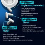 Magnesium Zink - Image 4