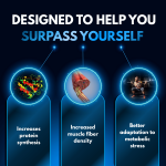 Turkesterone - Image 7