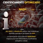 NAD+ - Image 8