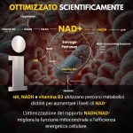 NAD+ - Image 8