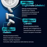 Magnesio Zinco - Image 4