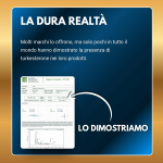 Turkesterone - Image 4