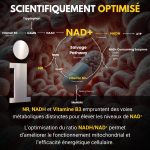 NAD+ - Image 8
