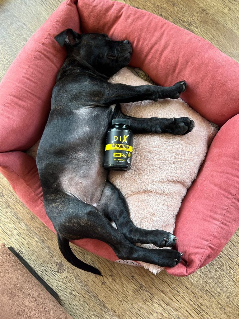 apigenin mieux dormir sommeil de qualité