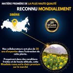 Rhodiola Rosea - Image 5