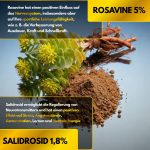 Rhodiola Rosea - Image 4