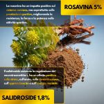 Rhodiola Rosea - Image 4