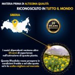 Rhodiola Rosea - Image 5