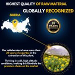 Rhodiola Rosea - Image 6