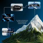 Shilajit resin - Image 5