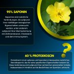 Tribulus Terrestris - Image 6