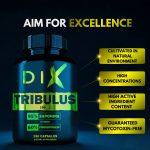 Tribulus Terrestris - Image 3