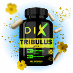 Flacon de capsules Tribulus DIX, 120 unités, contenant 95% de saponines et 60% de protodioscine sur fond coloré.