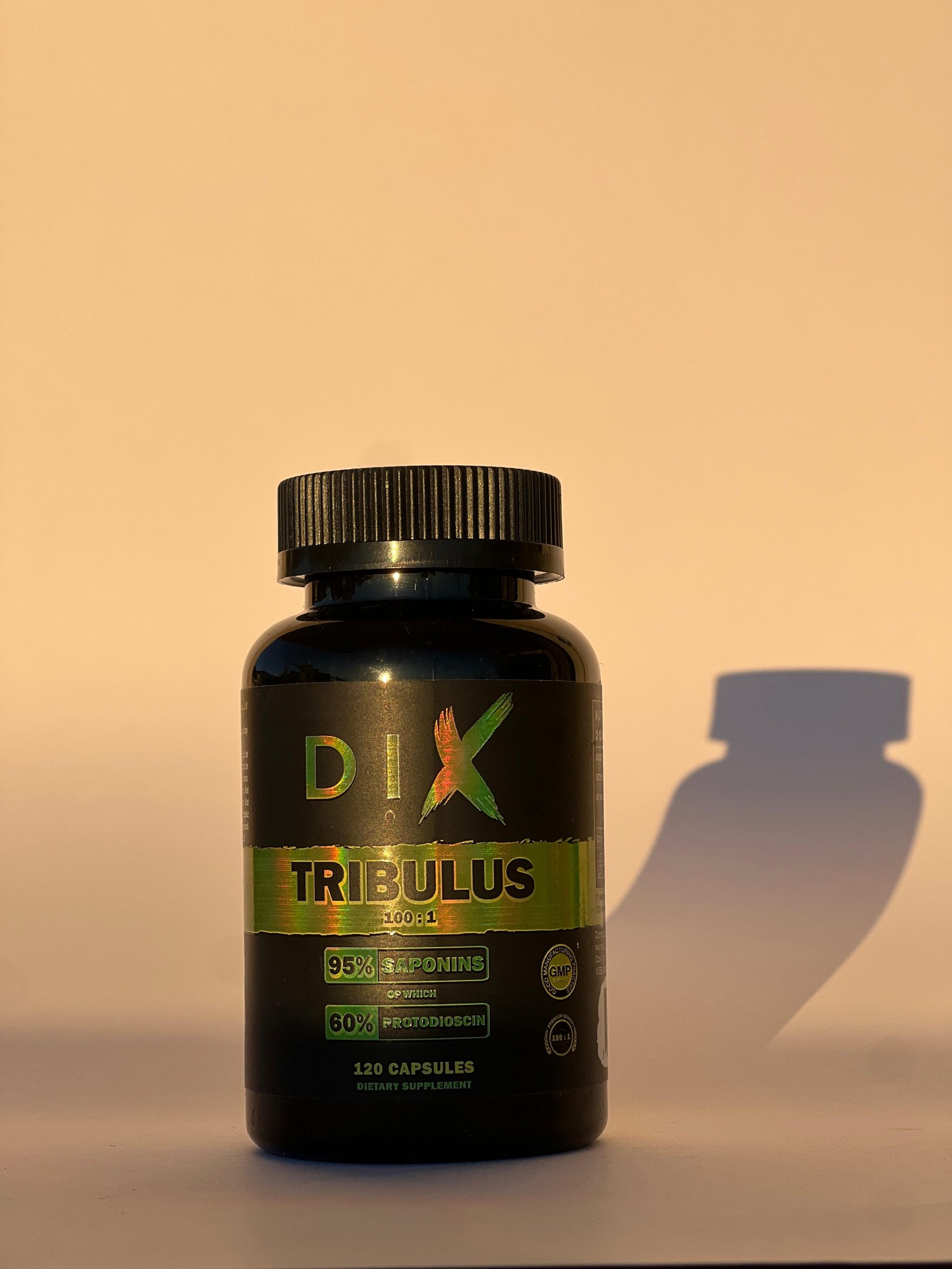 tribulus terrestris