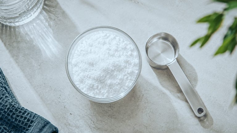 Créatine monohydrate en poudre blanche avec dosette