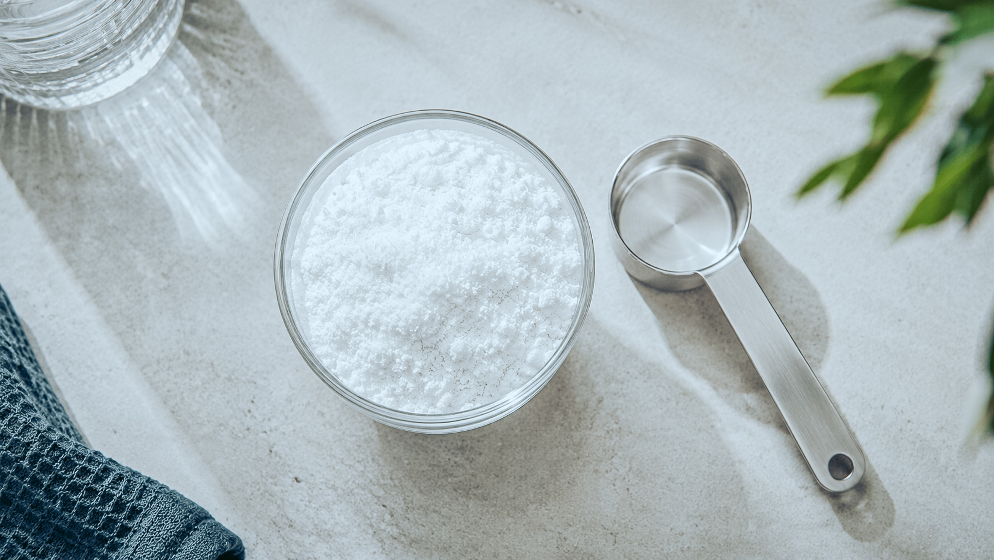 Créatine monohydrate en poudre blanche avec dosette