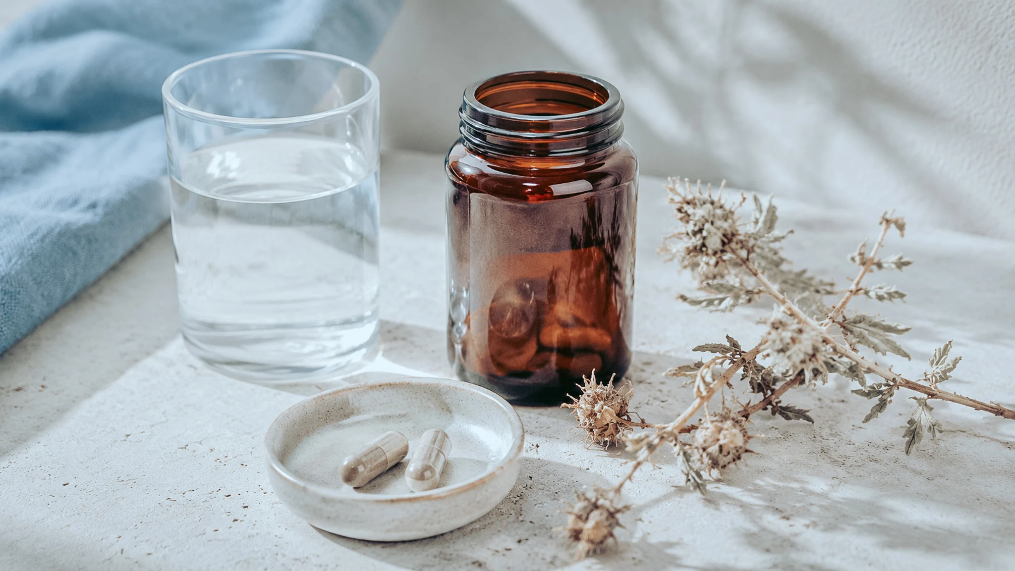 Pot de Tribulus, deux gélules sur une coupelle, verre d'eau et brin de plante séchée.