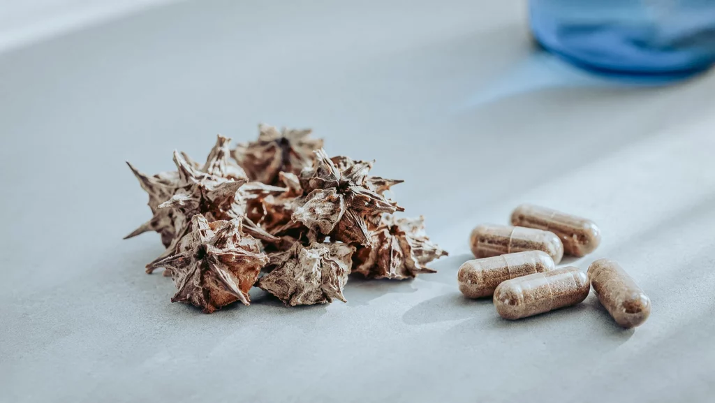 Getrocknete Tribulus-Früchte und Kapseln als Sinnbild für die erforschte Wirkung auf die Lust